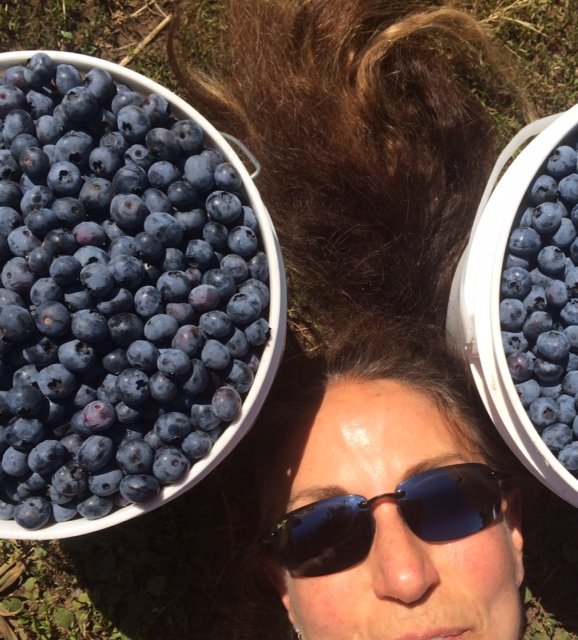 Lauren Kessler About the Author Blueberries